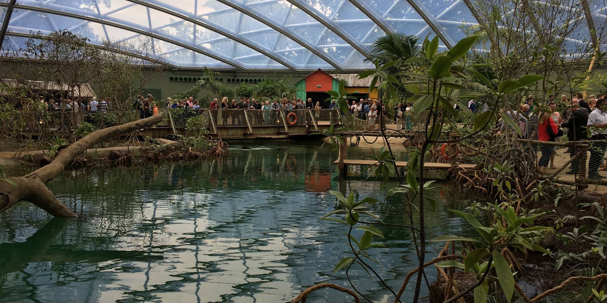 Het interieur van Burgers’ Zoo Mangrove, met water en bomen onder de gebogen glazen kap.