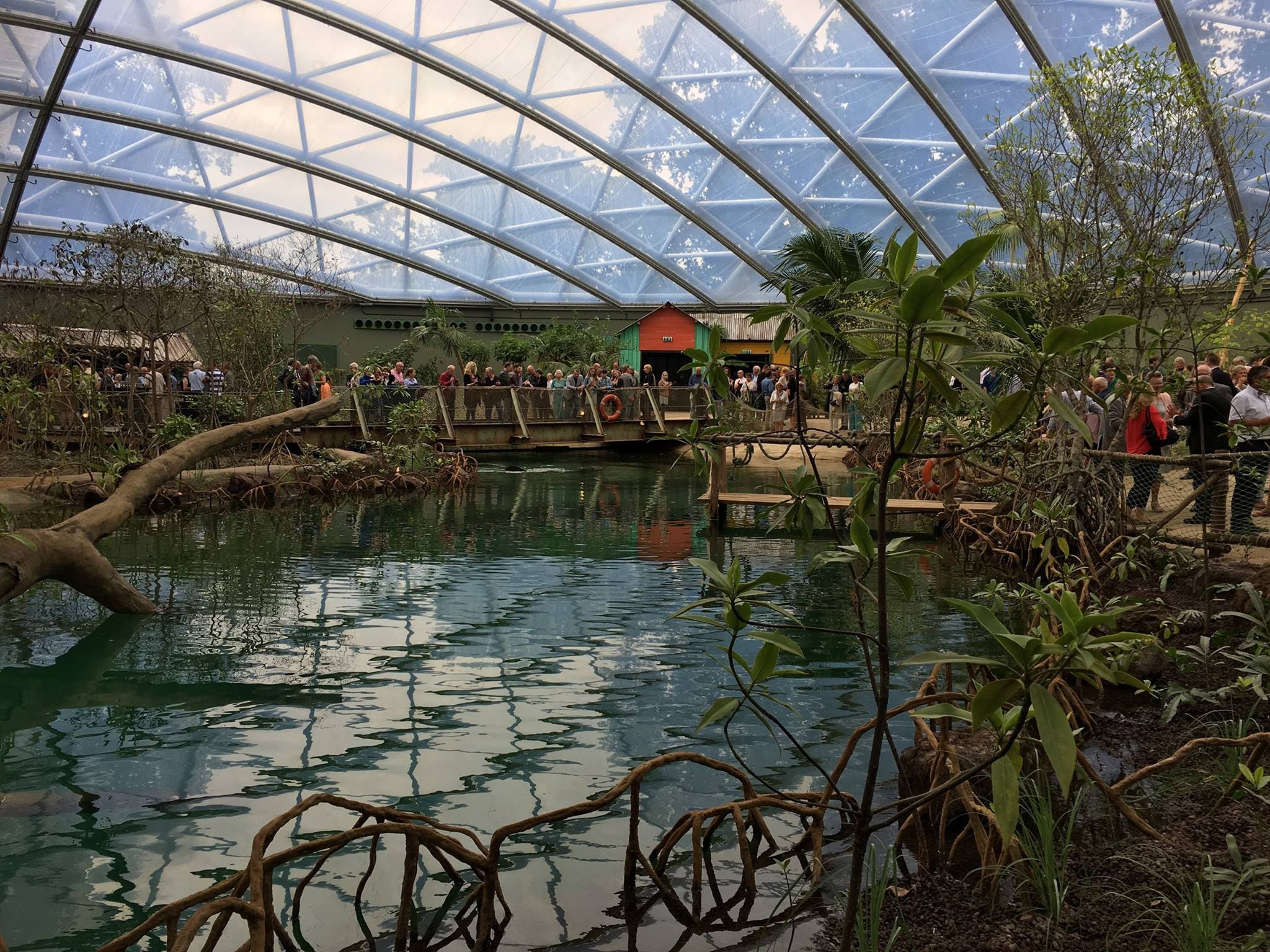 Het interieur van Burgers’ Zoo Mangrove, met water en bomen onder de gebogen glazen kap.