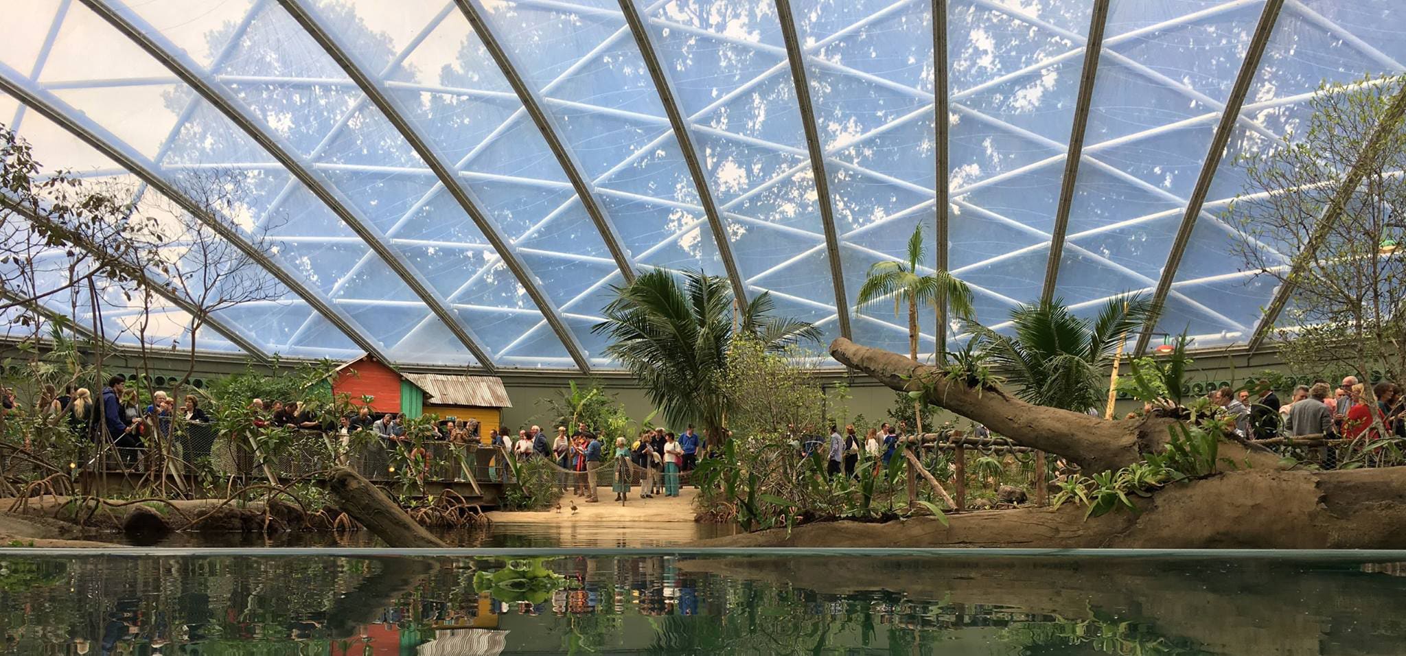 Panorama van de mangrove onder de gebogen kap met de stalen spanten.